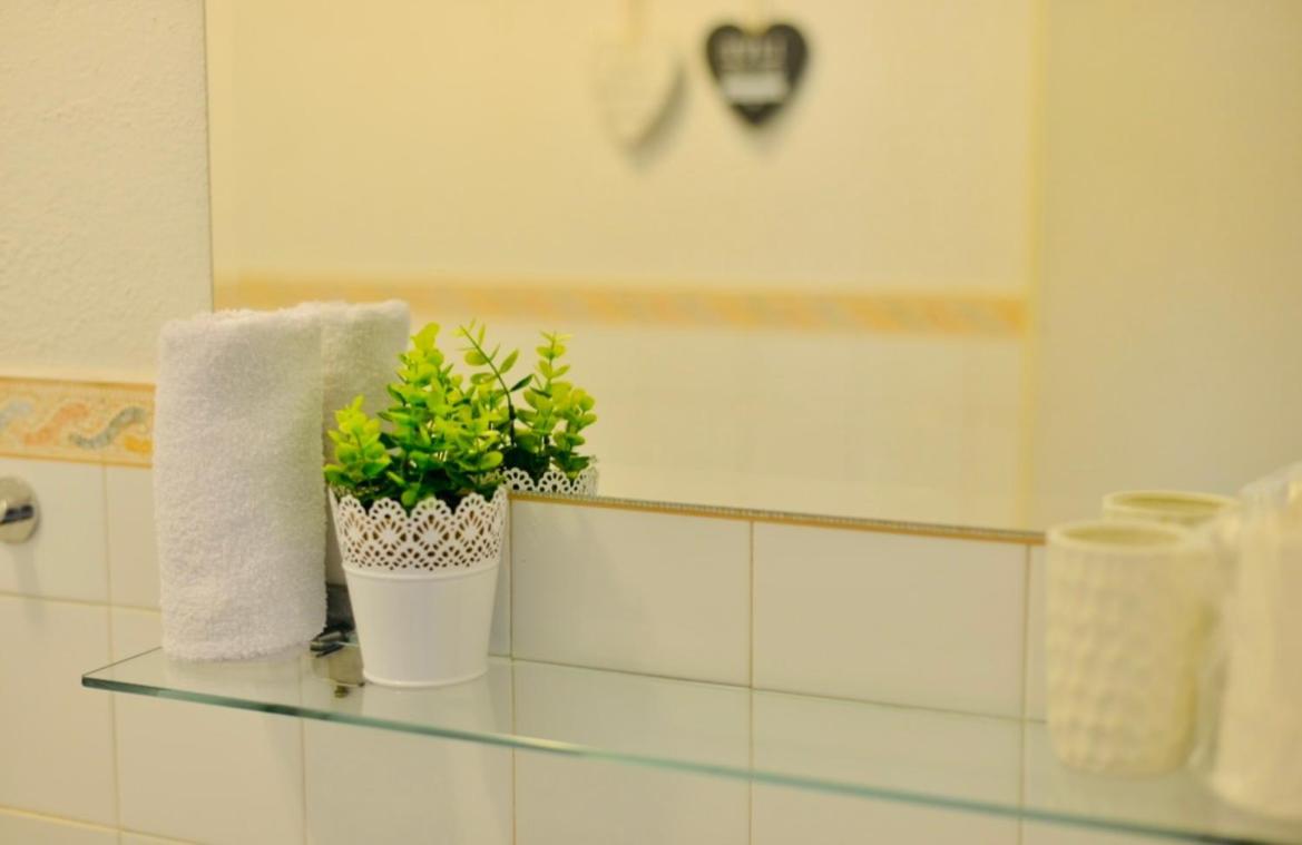 Apartment Niksa Novigrad  Kültér fotó